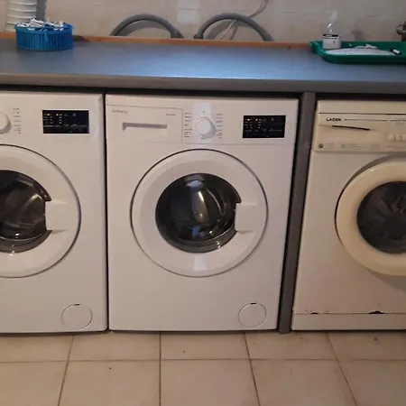 Pinot Gris Et Pinot Blanc Casa de Férias