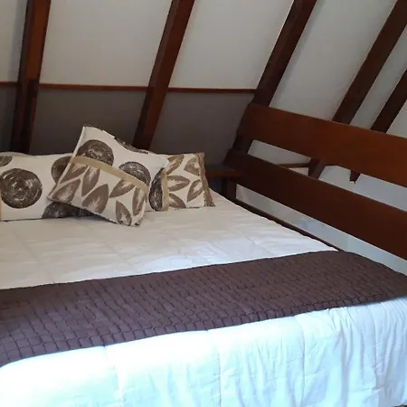 Pinot Gris Et Pinot Blanc Vakantiehuis