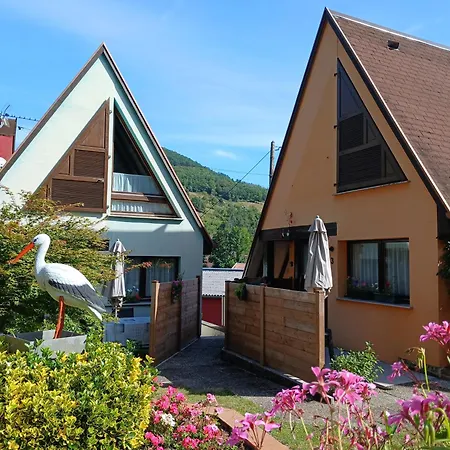 Pinot Gris Et Pinot Blanc Casa de Férias *