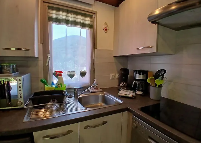 Pinot Gris Et Pinot Blanc Casa vacanze